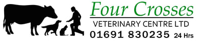 Four Crosses Veterinary Centre